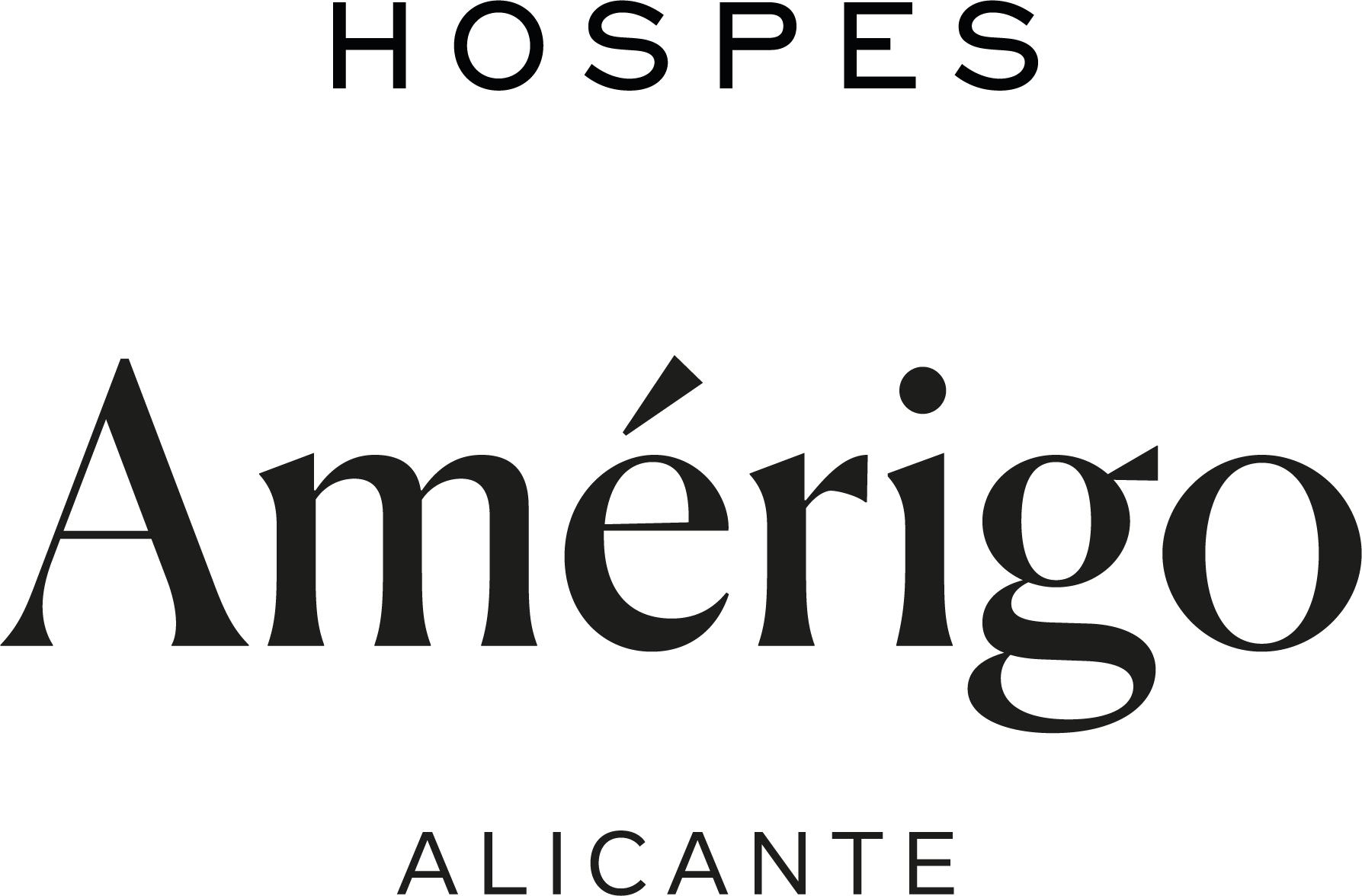 Hospes Amérigo 5*